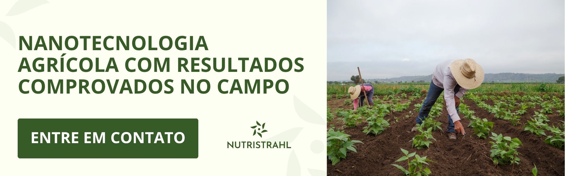 nanotecnologia agrícola com resultados comprovados no campo