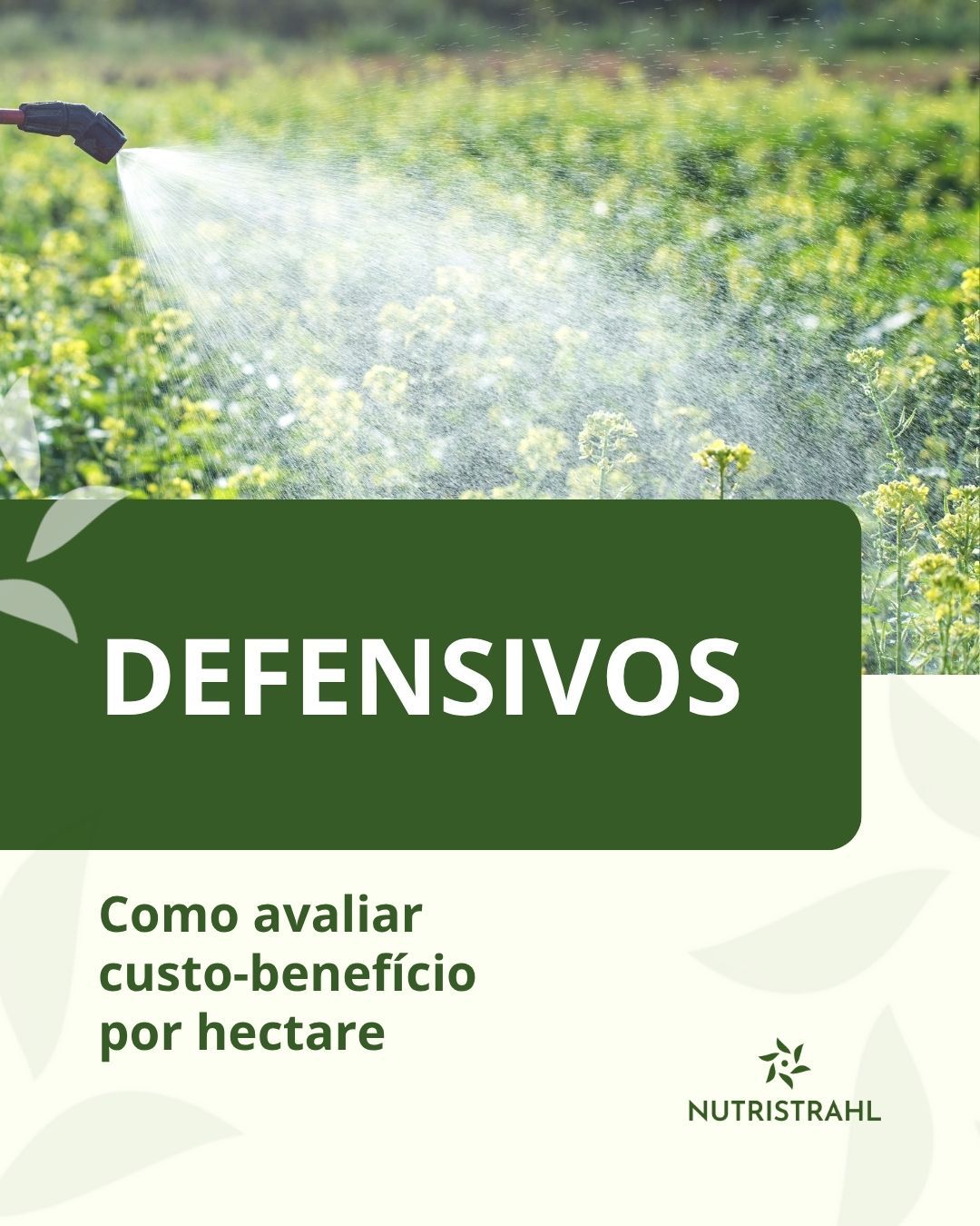 defensivos